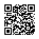 [XY-P]ビクトリーリング（プロモ 400/389 トレーナーズ グッズ ）[XY-P400] QRコード