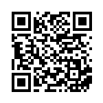 [XY-P]ガブリアスソウルリンク（プロモ 410/389 トレーナーズ ポケモンのどうぐ ）[XY-P410] QRコード