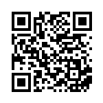 [XY-P]ビクトリーリング（プロモ 412/389 トレーナーズ グッズ ）[XY-P412] QRコード