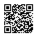 [XY-P]ビクトリーリング（プロモ 413/389 トレーナーズ グッズ ）[XY-P413] QRコード