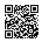 [XY-P]ボルケニオンEX（プロモ 417/389 炎 ）[XY-P417] QRコード