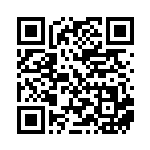 [XY-P]基本フェアリーエネルギー（プロモ 447/389 エネルギー フェアリー ）[XY-P447] QRコード