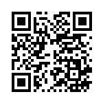 [XY10]RR ブラッキーEX（めざめる超王 042/078 悪 ）[XY10042] QRコード