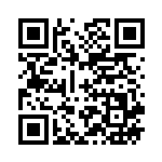 [XY10]SR ブラッキーEX（めざめる超王 082/078 悪 ）[XY10082] QRコード