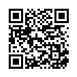 [XY]レックウザEX（THE BEST OF XY 104/171 無 ）[XY104] QRコード