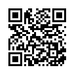 [XY]ピーピーマックス（THE BEST OF XY 116/171 トレーナーズ グッズ ）[XY116] QRコード