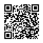 [XY11]U ニンジャごっこ（冷酷の反逆者 053/054 トレーナーズ サポート ）[XY11a053] QRコード