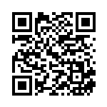 [XY]レベルボール（THE BEST OF XY 121/171 トレーナーズ グッズ ）[XY121] QRコード