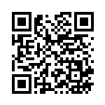 [XY]パワーメモリ（THE BEST OF XY 127/171 トレーナーズ ポケモンのどうぐ ）[XY127] QRコード