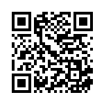 [XY]サーナイトソウルリンク（THE BEST OF XY 128/171 トレーナーズ ポケモンのどうぐ ）[XY128] QRコード