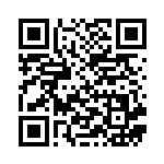 [XY2]RR リザードンEX（ワイルドブレイズ 011/080 炎 ）[XY2011] QRコード