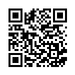 [XY2]C ルクシオ（ワイルドブレイズ 028/080 雷 ）[XY2028] QRコード