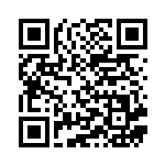 [XY2]C エリキテル（ワイルドブレイズ 031/080 雷 ）[XY2031] QRコード