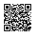 [XY2]R ニャオニクス（ワイルドブレイズ 038/080 超 ）[XY2038] QRコード