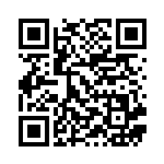 [XY2]RR ガルーラEX（ワイルドブレイズ 064/080 無 ）[XY2064] QRコード