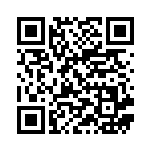 [XY2]U びっくりメガホン（ワイルドブレイズ 074/080 トレーナーズ グッズ ）[XY2074] QRコード