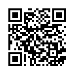 [XY2]U 炎のトーチ（ワイルドブレイズ 075/080 トレーナーズ グッズ ）[XY2075] QRコード