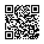 [XY2]SR リザードンEX（ワイルドブレイズ 081/080 炎 ）[XY2081] QRコード