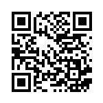 [XY2]SR ジバコイルEX（ワイルドブレイズ 082/080 雷 ）[XY2082] QRコード