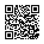 [XY3]U 輝くガウン（ライジングフィスト 087/096 トレーナーズ ポケモンのどうぐ ）[XY3087] QRコード