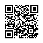 [XY3]SR カイリューEX（ライジングフィスト 100/096 竜 ）[XY3100] QRコード