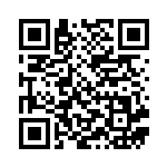 [XY4]RR ライボルトEX（ファントムゲート 023/088 雷 ）[XY4023] QRコード