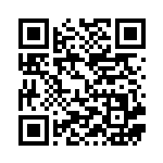 [XY4]U ミステリーエネルギー（ファントムゲート 088/088 エネルギー 超 ）[XY4088] QRコード