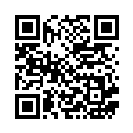 [XY6]C ヒノヤコマ（エメラルドブレイク 013/078 炎 ）[XY6013] QRコード