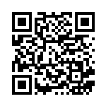 [XY6]RR MレックウザEX（エメラルドブレイク 062/078 無 ）[XY6062] QRコード