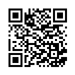 [XY6]RR シェイミEX（エメラルドブレイク 063/078 無 ）[XY6063] QRコード