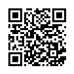 [XY7]C ポリゴン2（バンデットリング 065/081 無 ）[XY7065] QRコード