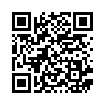 [XY7]U レベルボール（バンデットリング 071/081 トレーナーズ グッズ ）[XY7071] QRコード