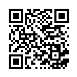 [XY9]C ベイリーフ（破天の怒り 002/080 草 ）[XY9002] QRコード