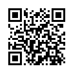 [XY9]U ピーピーマックス（破天の怒り 072/080 トレーナーズ グッズ ）[XY9072] QRコード