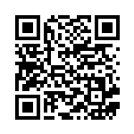 [XY9]U 炸裂バルーン（破天の怒り 073/080 トレーナーズ ポケモンのどうぐ ）[XY9073] QRコード