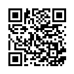 [XY9]U ギャラドスソウルリンク（破天の怒り 075/080 トレーナーズ ポケモンのどうぐ ）[XY9075] QRコード