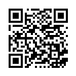 [XY9]SR MギャラドスEX（破天の怒り 082/080 水 ）[XY9082] QRコード