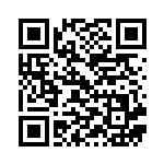 [XY9]SR MハッサムEX（破天の怒り 087/080 鋼 ）[XY9087] QRコード