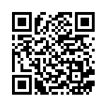 [XYC]ハイパーボール（スーパーレジェンドセット60 013/023 トレーナーズ グッズ ）[XYC013] QRコード