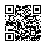 [XYE]トゲキッスEX（対戦スタートセット30 010/022 フェアリー ）[XYE010] QRコード