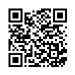 [XYE]ポケモンキャッチャー（対戦スタートセット30 019/022 トレーナーズ グッズ ）[XYE019] QRコード