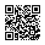 [XYH]ミニスカートのおすすめ（メガバトルデッキ60 024/026 トレーナーズ サポート ）[XYH024] QRコード