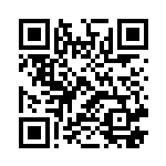 Pocket Copilot QR
