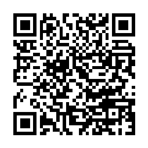 Link to your fundraiser QRCode - Fundraising