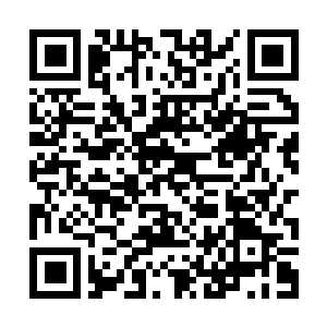 Link to your fundraiser QRCode - Fundraising
