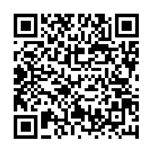 Link to your fundraiser QRCode - Fundraising