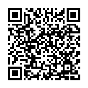 Link to your fundraiser QRCode - Fundraising