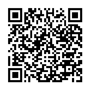 Link to your fundraiser QRCode - Fundraising
