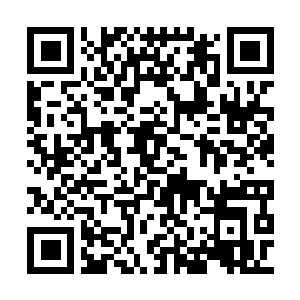 Link to your fundraiser QRCode - Fundraising