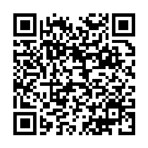 Link to your fundraiser QRCode - Fundraising